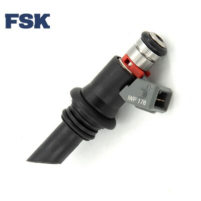 Long Life IWP176 Fuel Injectors For Volkswagen Focus Golf With Gcr15 Chrome Steel