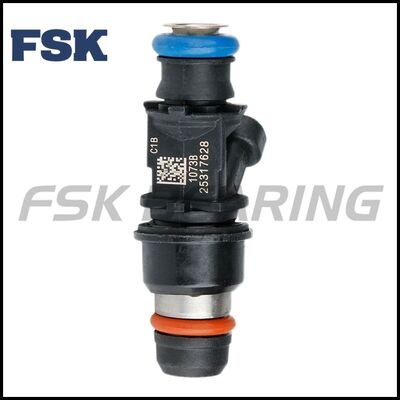 China FSK 25317628 FJ315 17113553 Common Rail Fuel Injector For Buick Chevrolet Cadillac P6 P5