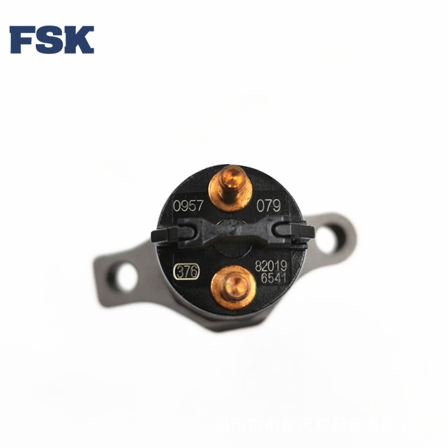 High Precision 0445120079 Common Rail System For Iveco Fiat  Bosh