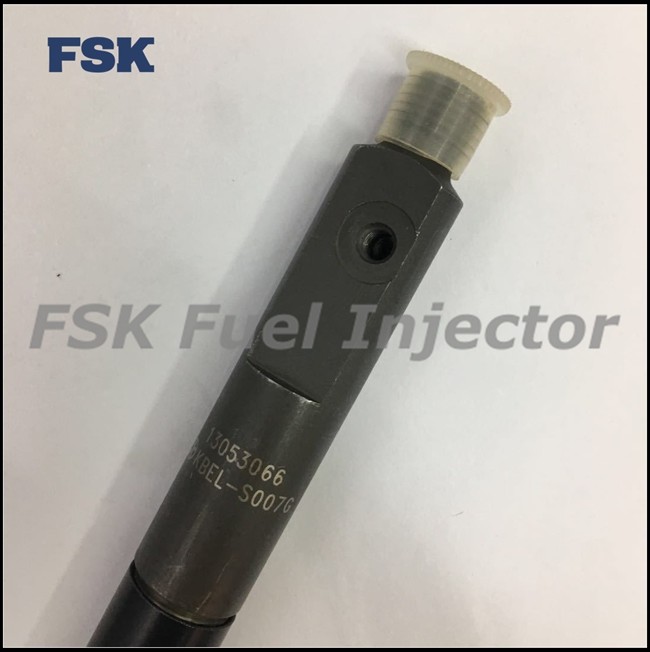 KBEL132P110 Sinotruk Howo Steyr King Engine Euro II Injector Assembly DLLA155P180