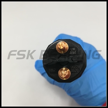 Premium Quality Nozzle 0445120494 Common Rail Injector 120 Series For Dongfeng